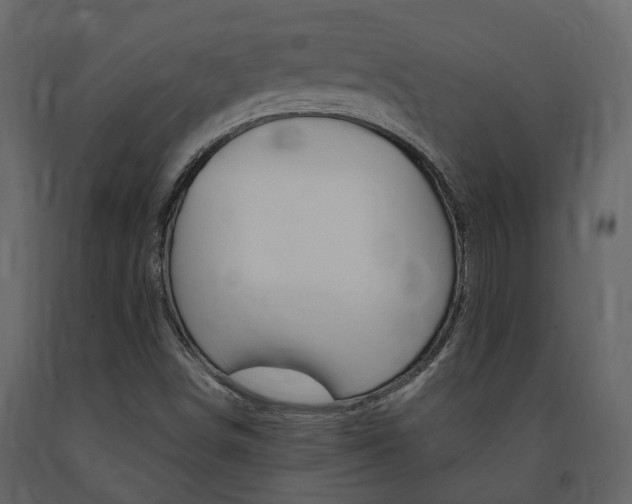 X0000091691498200708231119