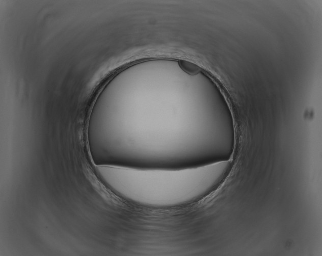 X0000091691499200708231119