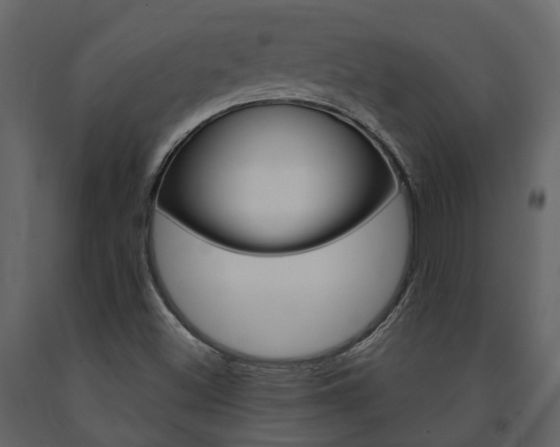 X0000091691500200708231119