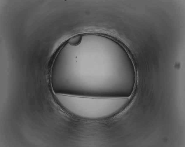 X0000091691501200708231119