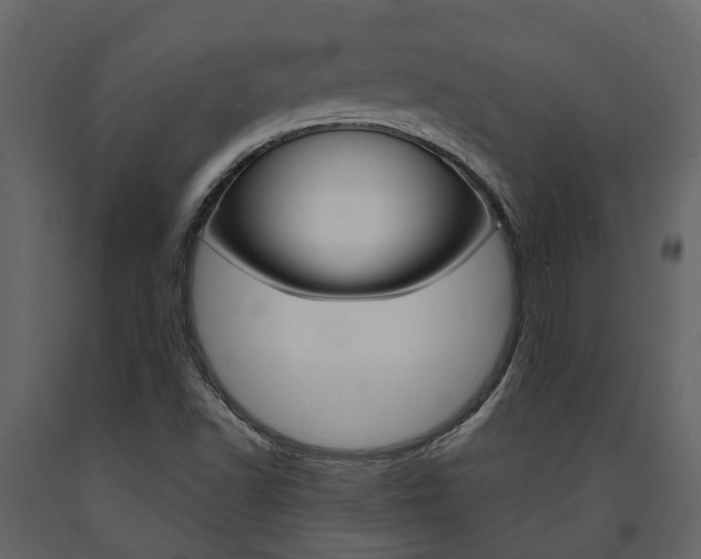 X0000091691502200708231119