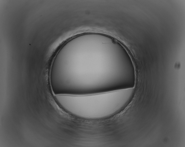 X0000091691503200708231119