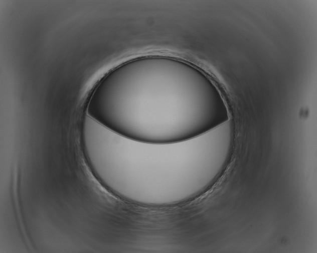 X0000091691504200708231119