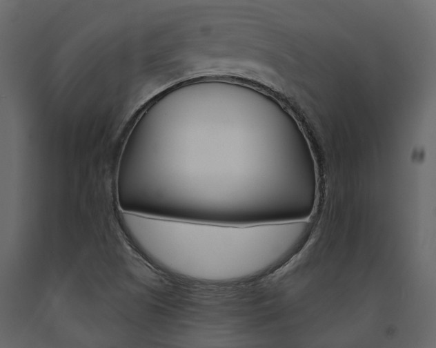 X0000091691505200708231119