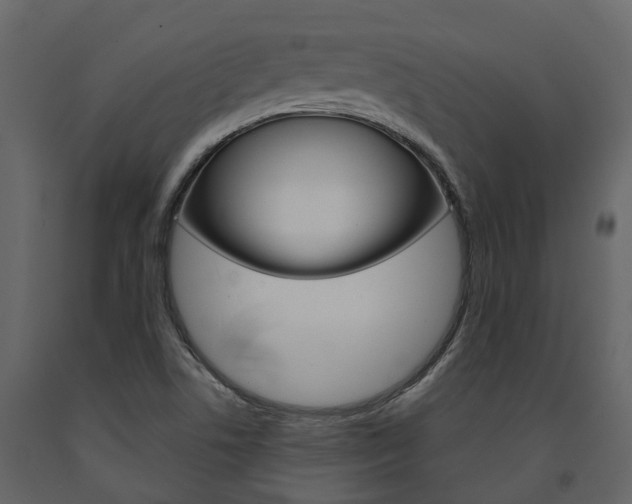 X0000091691506200708231119