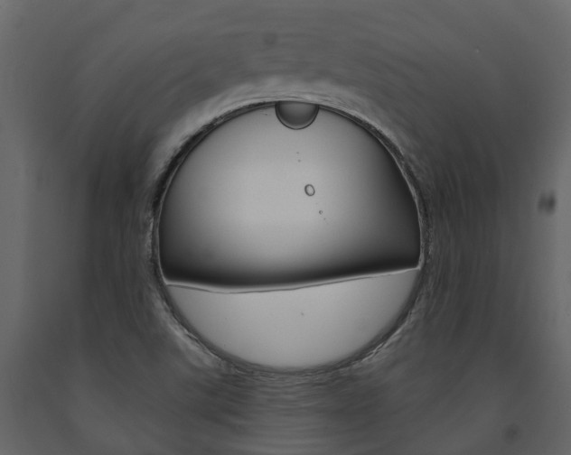 X0000091691507200708231119