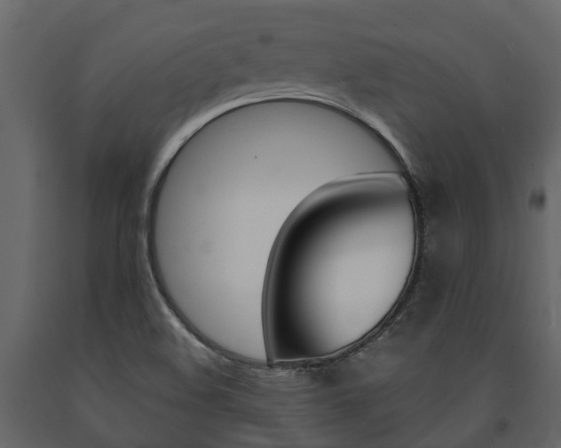 X0000091691508200708231119
