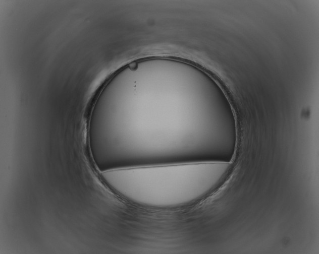 X0000091691509200708231119