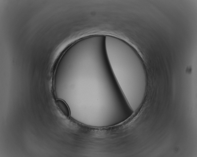 X0000091691511200708231119