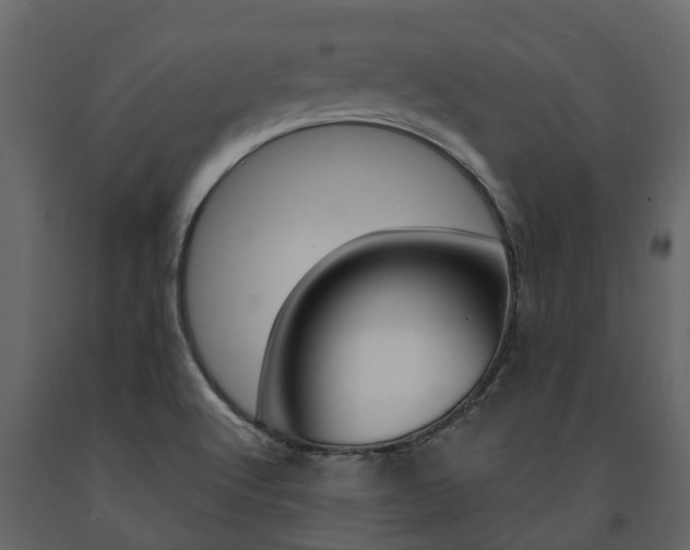 X0000091691512200708231119