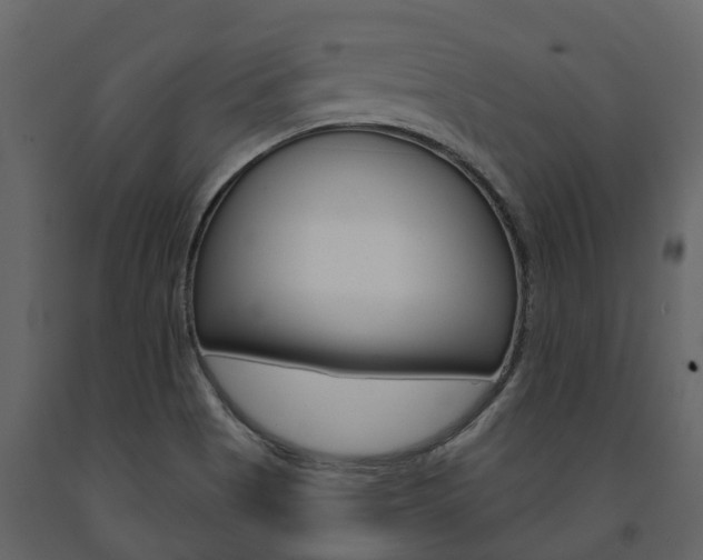 X0000091691513200708231119