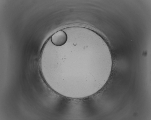 X0000091691514200708231119