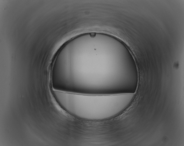 X0000091691515200708231119