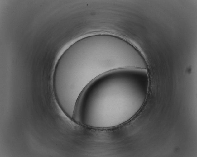 X0000091691516200708231119