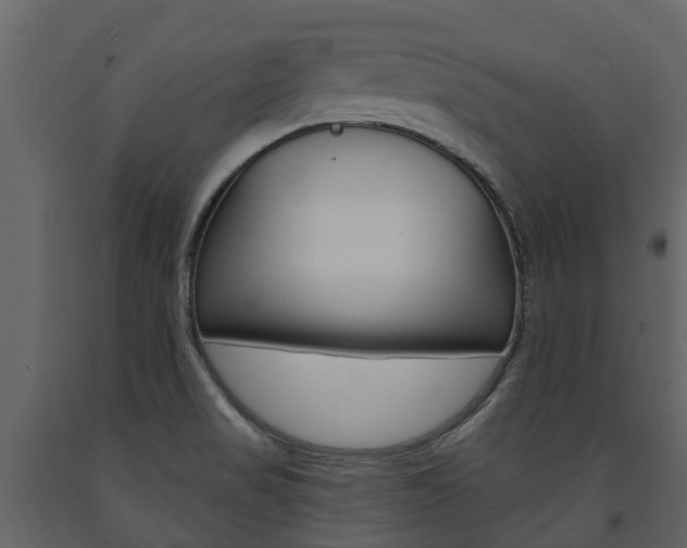 X0000091691517200708231119