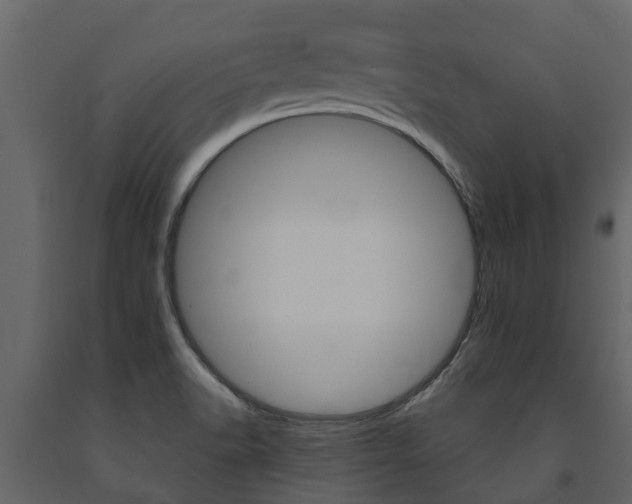 X0000091691518200708231119