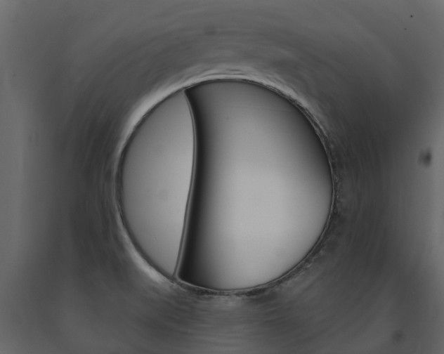 X0000091691519200708231119