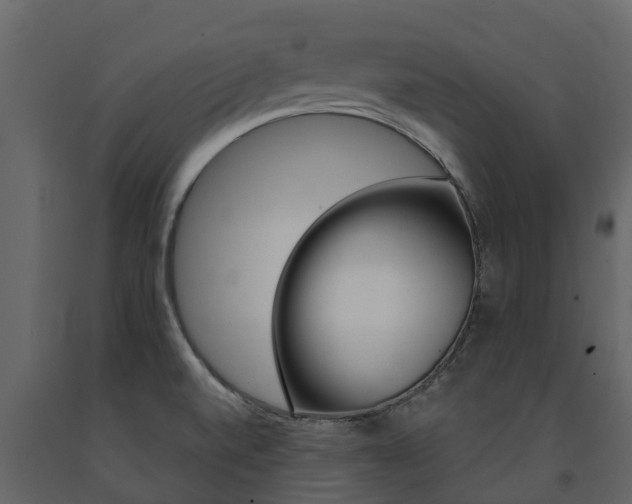 X0000091691520200708231119