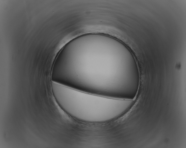 X0000091691521200708231119