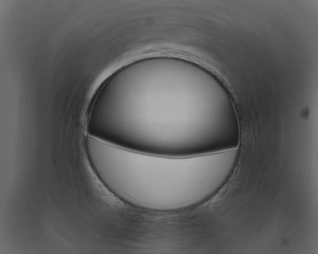 X0000091691522200708231119