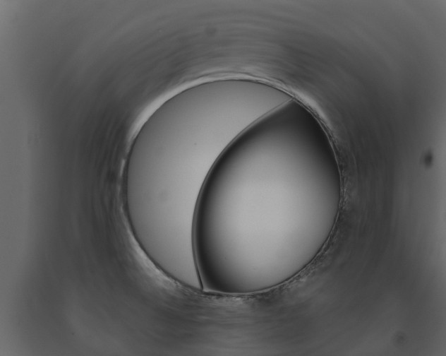X0000091691524200708231119