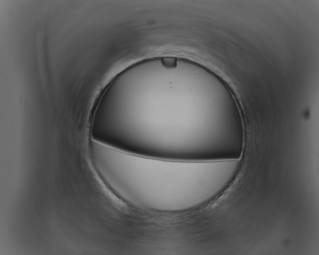 X0000091691525200708231119