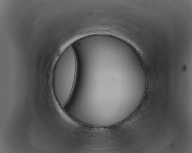 X0000091691526200708231119
