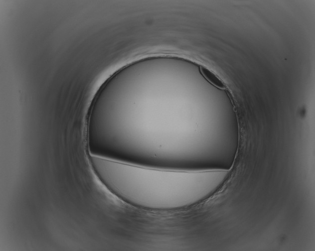 X0000091691527200708231119
