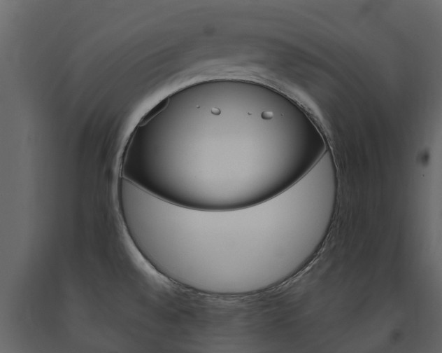 X0000091691528200708231119