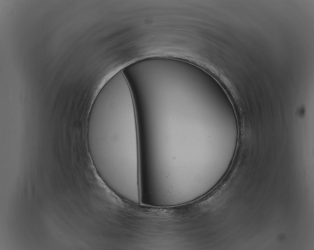 X0000091691529200708231119