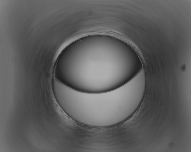 X0000091691530200708231119