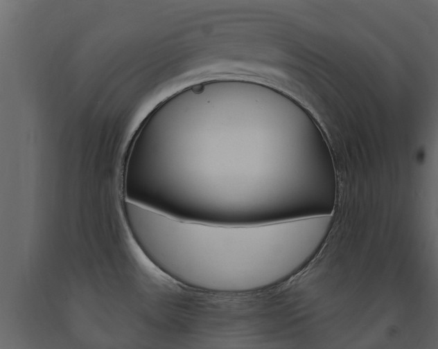 X0000091691531200708231119