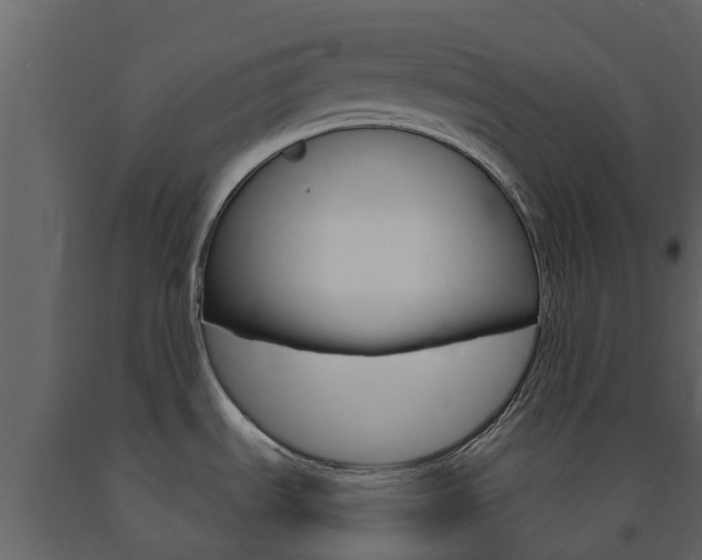 X0000091691535200708231119