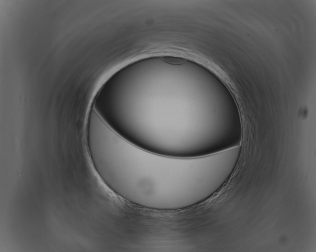 X0000091691536200708231119