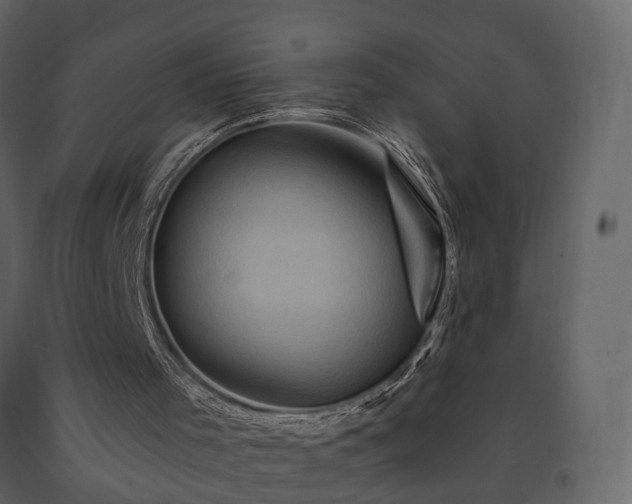 X0000091690001200708231450