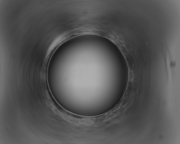 X0000091690004200708231450