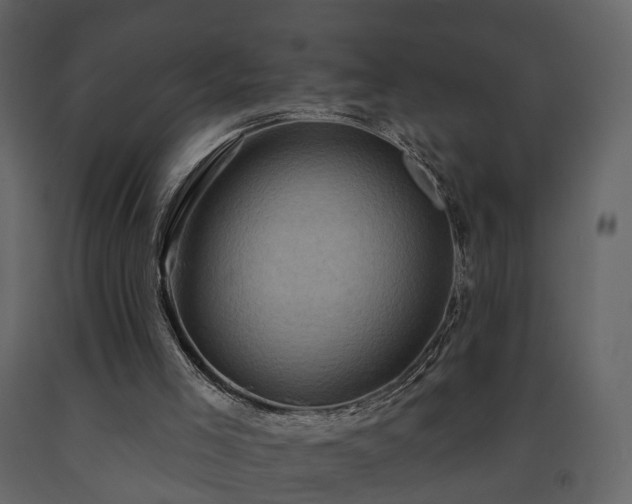 X0000091690005200708231450