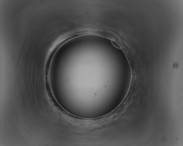 X0000091690006200708231450