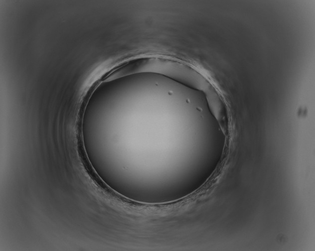 X0000091690007200708231450