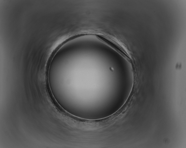X0000091690008200708231450