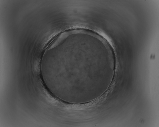 X0000091690009200708231450
