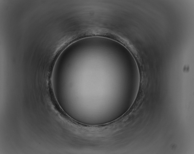 X0000091690010200708231450