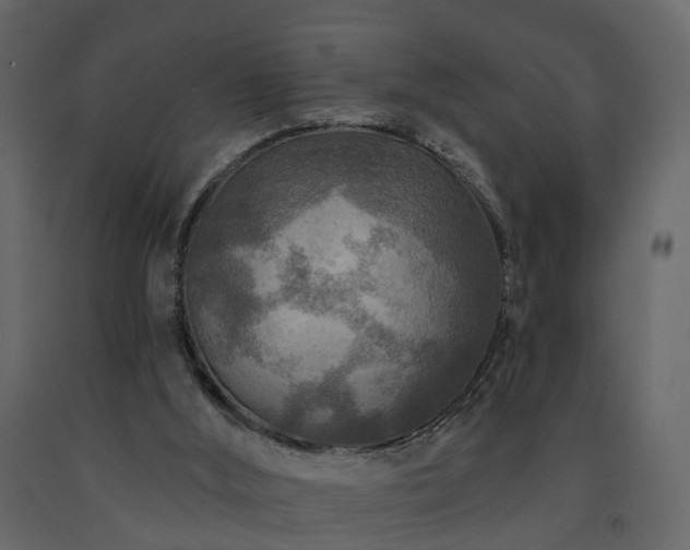 X0000091690012200708231450