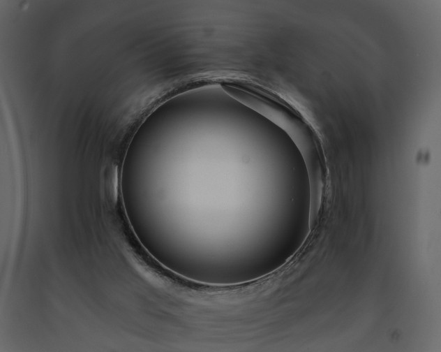 X0000091690013200708231450