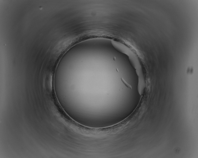 X0000091690014200708231450