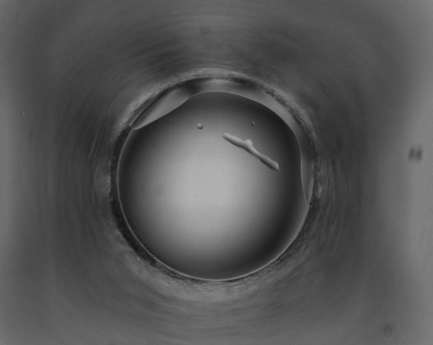X0000091690015200708231450