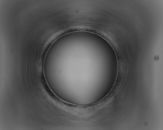 X0000091690016200708231450