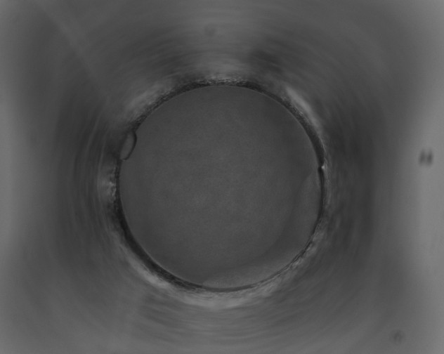 X0000091690017200708231450