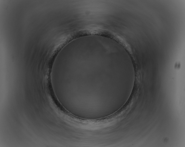 X0000091690018200708231450
