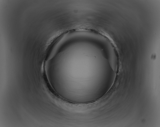 X0000091690019200708231450